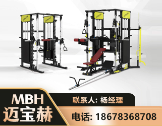 丽水多功能综合训练器