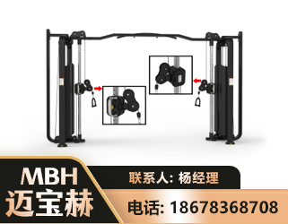 丽水大飞鸟训练器