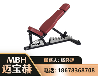丽水可调哑铃椅
